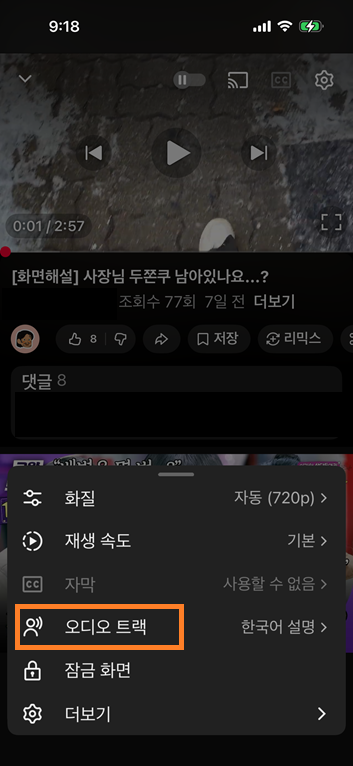 설정 버튼을 누르면 나오는 목록 항목 중 오디오트랙에 하이라이트 표시됨.